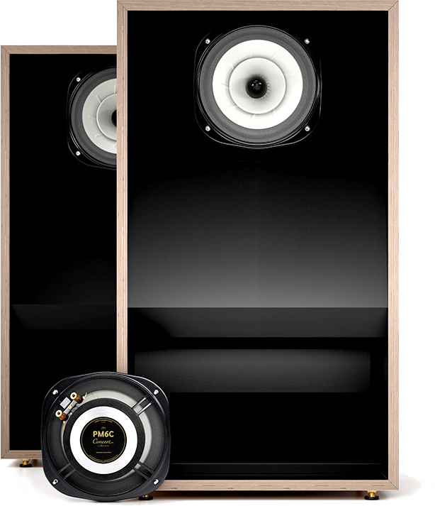 Acousta 115 with PM6C