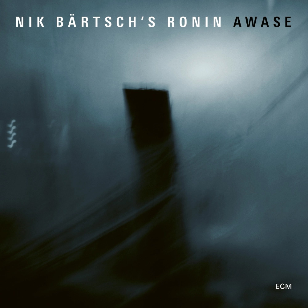 Nik BƤrtschās Ronin: Awase